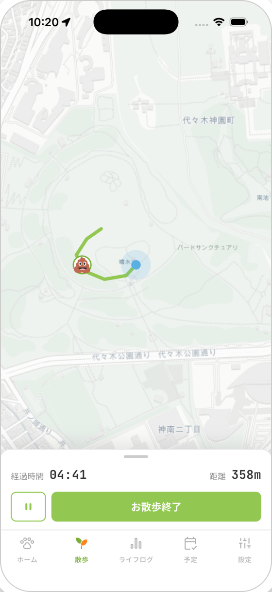 お散歩の記録画面。歩いたルートが地図に表示されている